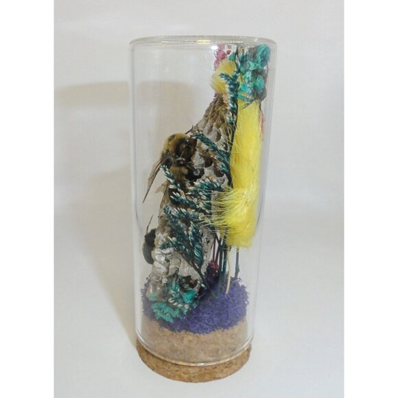 Wasp Nest & Carpenter Bee Oddity Jar curiosity dome hive insect taxidermy goth - Picture 16 of 16